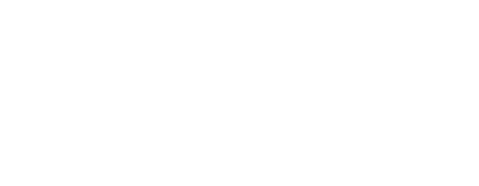 dlc logo aplication h whitev1 copy